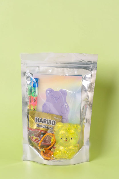 The Beary Squishy Bag
