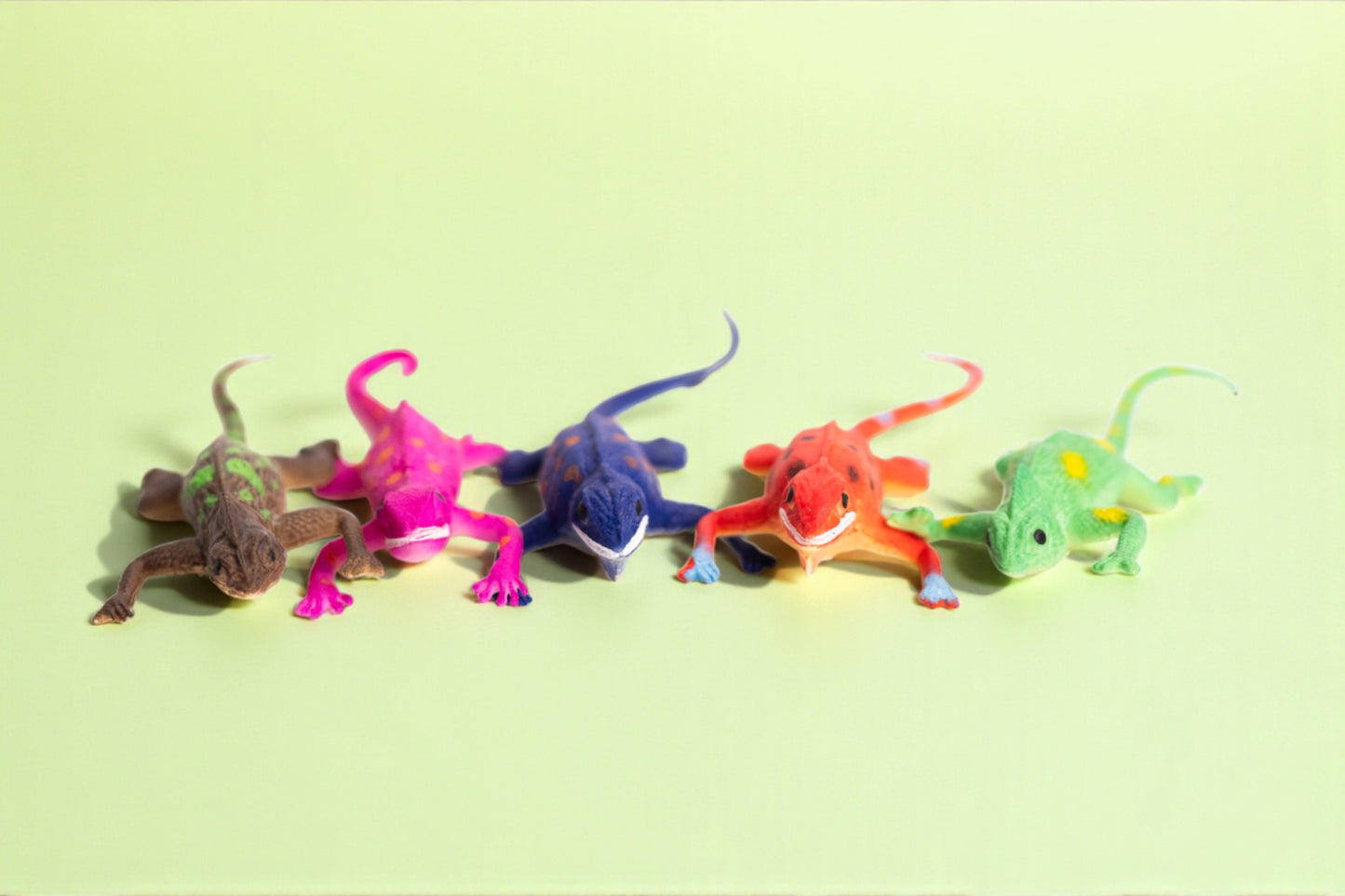 The Lizard Surprise Bag
