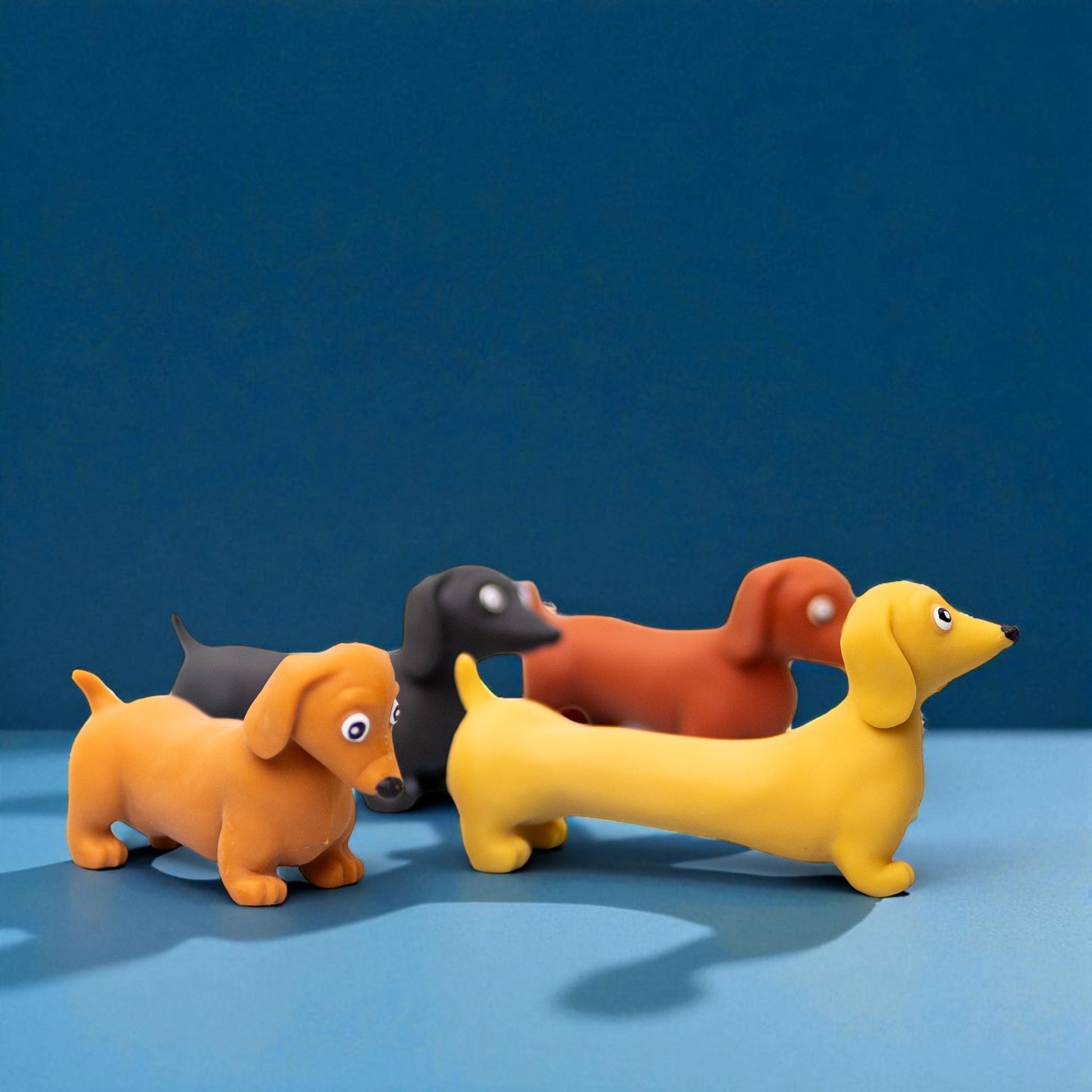 stretchy fidget dog ace&cat winnipeg